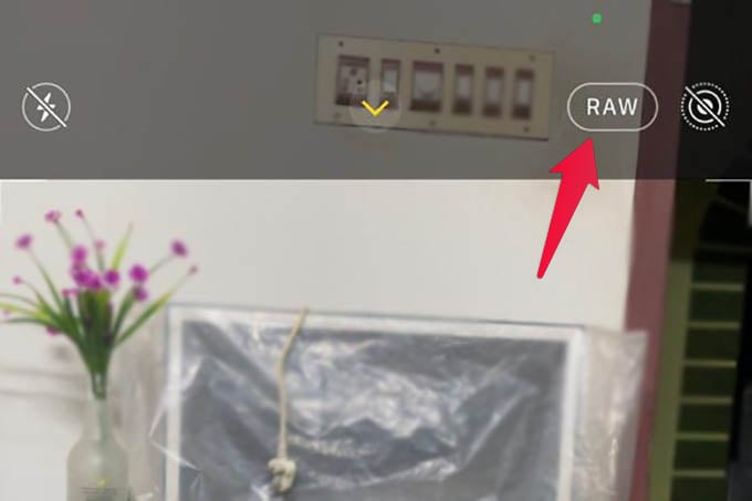 Enable RAW Photos on iPhone Camera