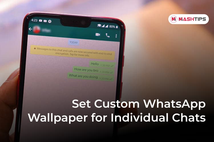 How to Set WhatsApp Wallpaper for Individual Chats - MashTips