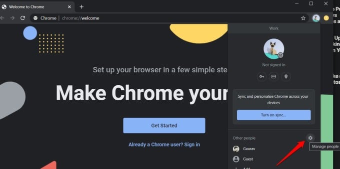 google chrome profile options