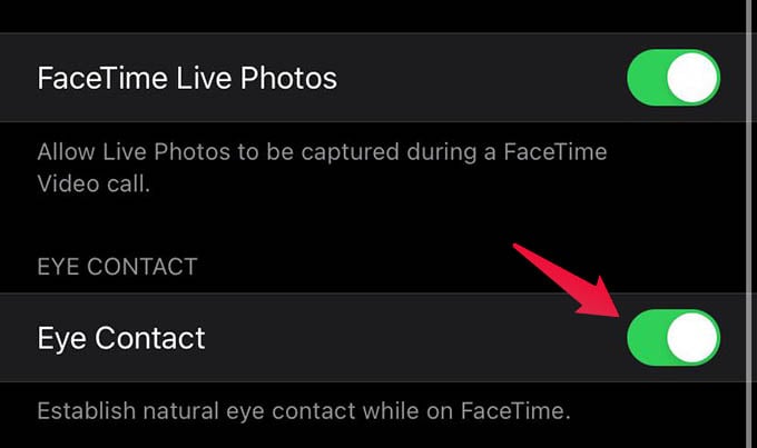 How to Fake Your Eye Contact in FaceTime Calls - 19