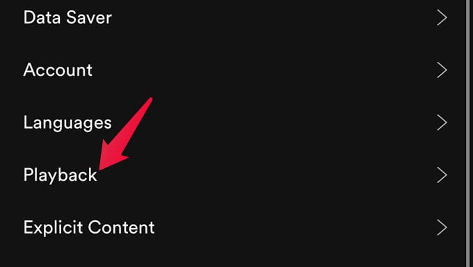 Head to Spotify Playback Settings