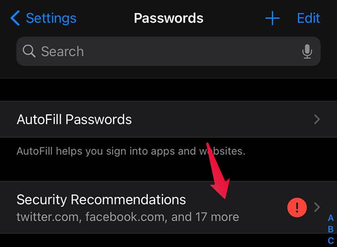 iCloud Keychain Security Recommendations iPhone