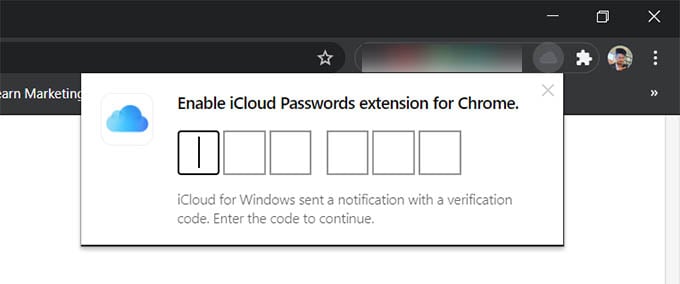 iCloud Passwords Extension Enter Code