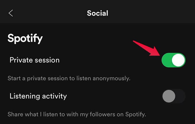 Enable Private Session on Spotify