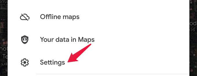 google map voice change