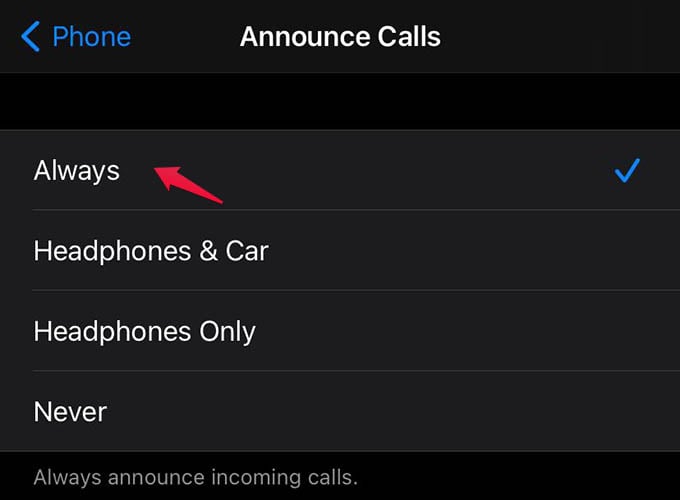 announce calls iphone