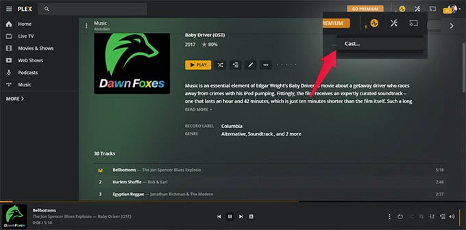 Cast Music Using Plex Server on Windows 10