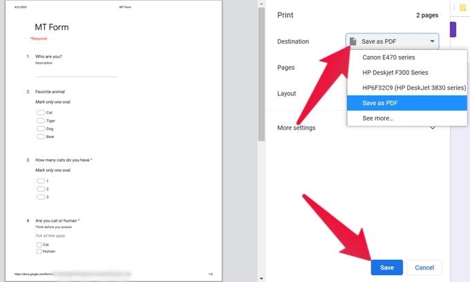 Change Printer Destination to Save as PDF on PC