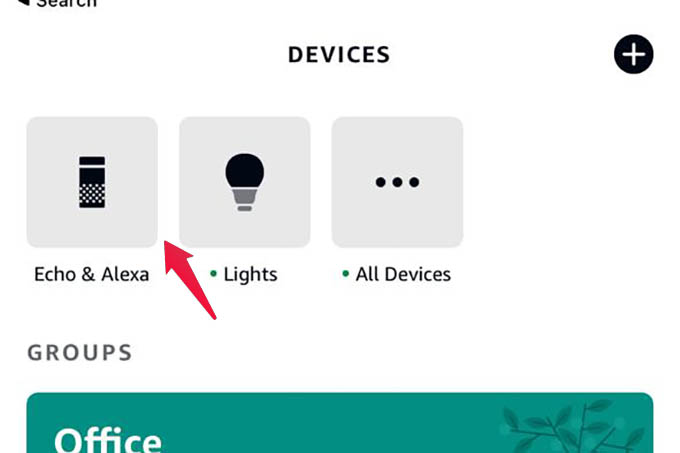 Echo and Alexa Devices in Alexa App