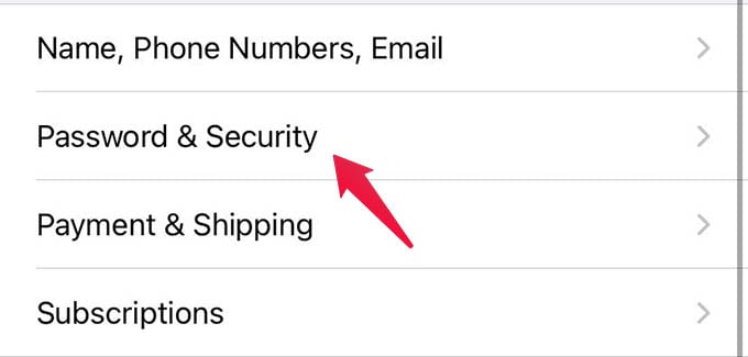 iPhone Password and Security Settings