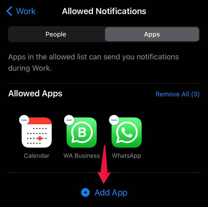 Add App to Allowed Notifications on Focus