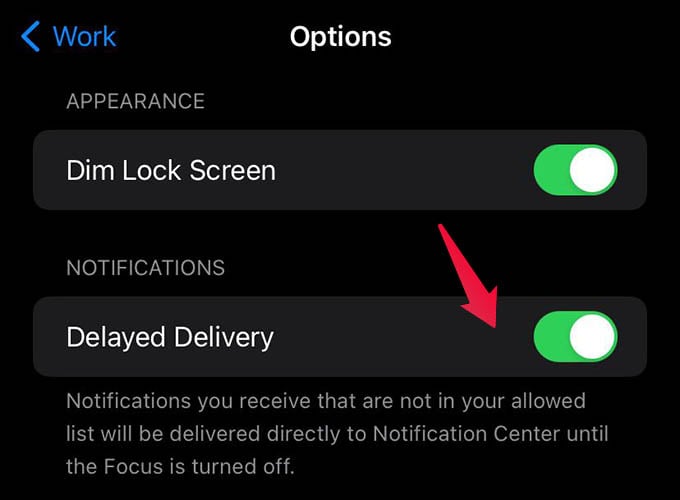 What Is Focus Mode on iPhone and How to Use It: A Complete Guide - MashTips