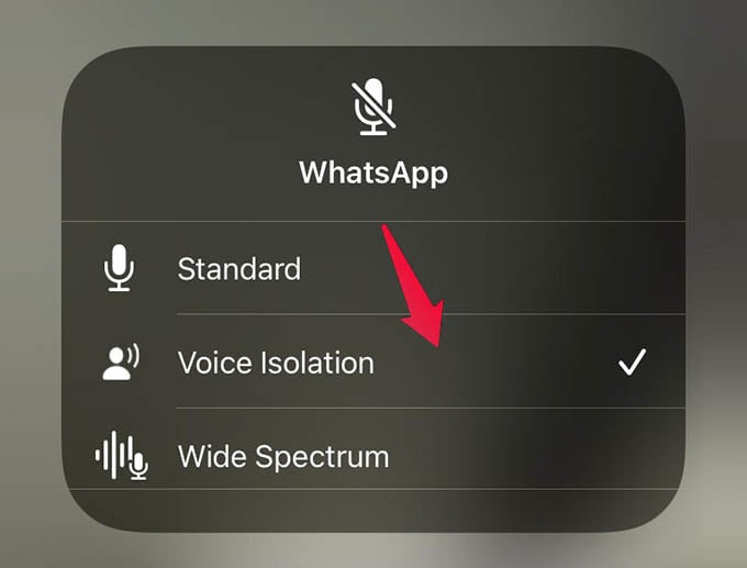 How to Reduce Background Noise on iPhone Video Calls - 18