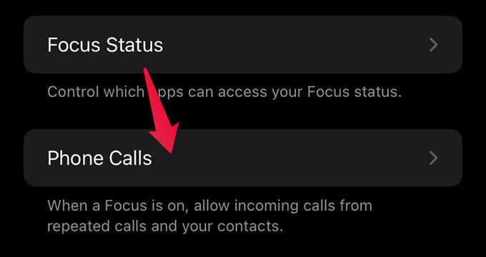 Focus Phone Call Settings