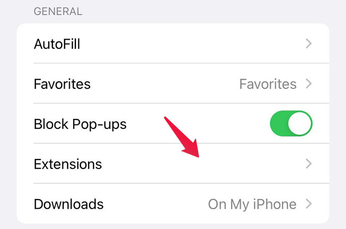 How to Get Safari Extensions on iPhone - 33