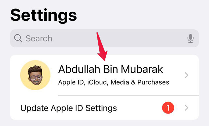 How to Hide Your IP Address and Browsing History on iPhone Without a VPN - 17