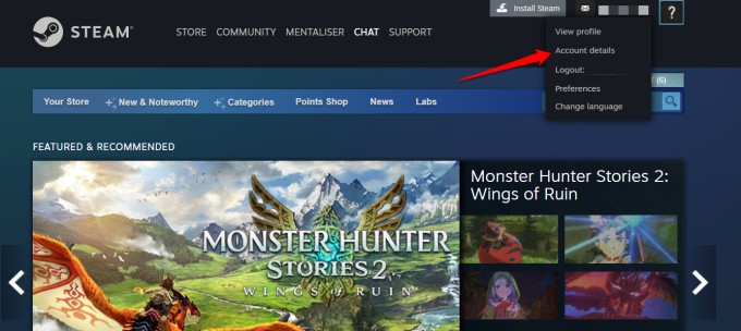 Account details in steam app
