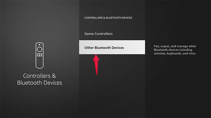 Other Bluetooth Devices in Fire TV Settings