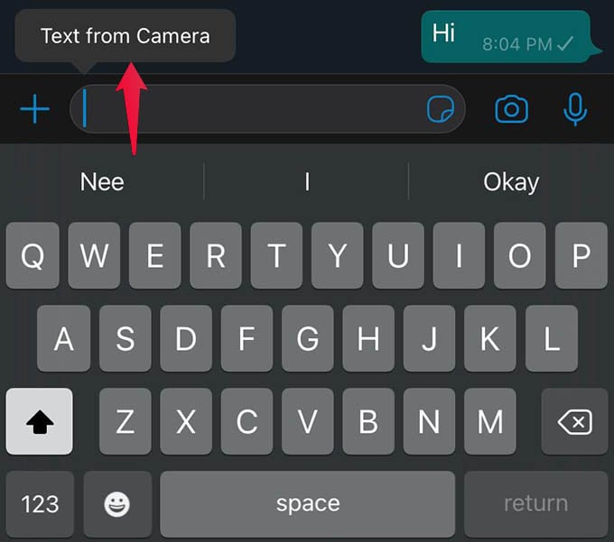 Paste Text from Camera on iPhone