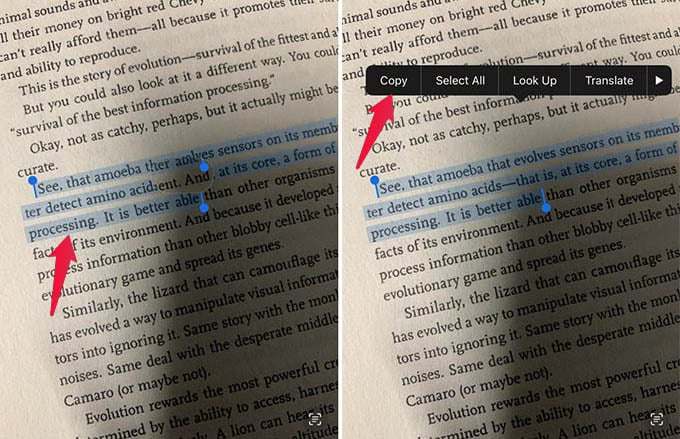 Select and Copy Text from Photos on iPhone
