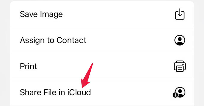 Share File in iCloud from Files App on iPhone