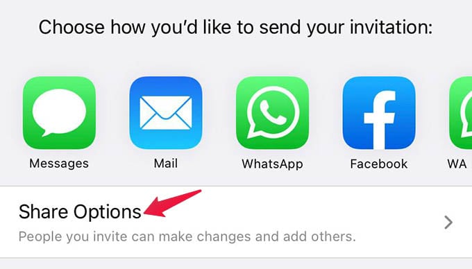 iCloud Share Options on iPhone