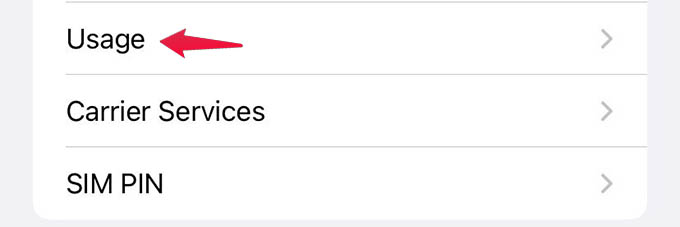 How to Check Data Usage on iPhone - 67