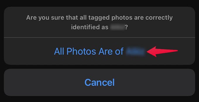 Confirm Photos for Photo Tags People iPhone Photos