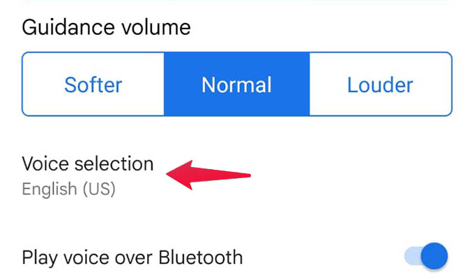 google map voice change