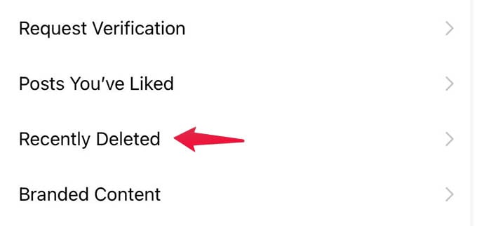 Instagram Recently Deleted Posts