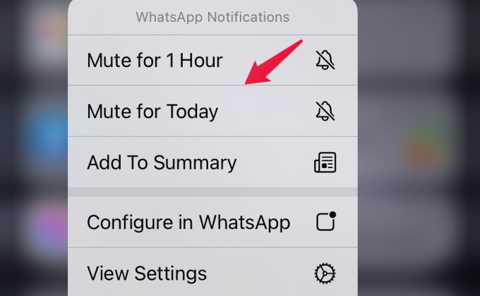 mute notifications temporarily