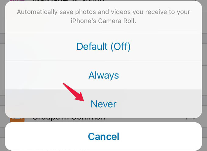 How to Stop WhatsApp From Saving Photos on iPhone - 20