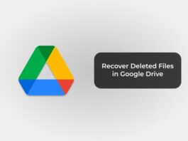 Recover Deleted Files in Google Drive