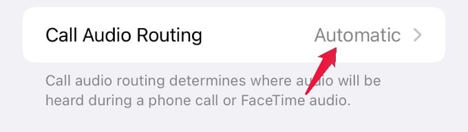 Why Is My iPhone Silencing Calls  Best Ways to Unsilence Calls on iPhone - 74