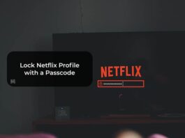 Lock Netflix Profile with a Passcode