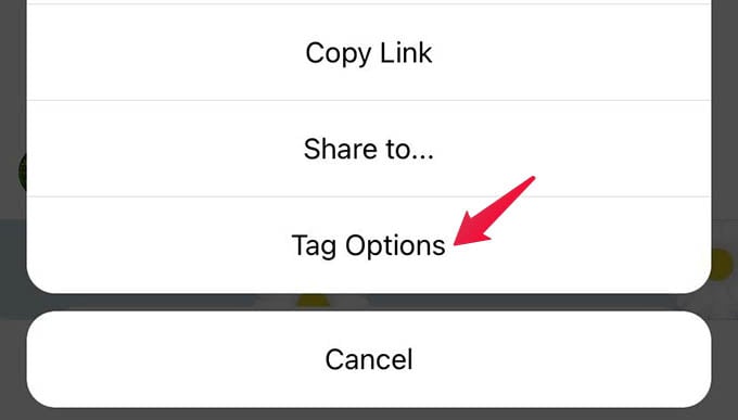 Tag Options for Instagram Posts