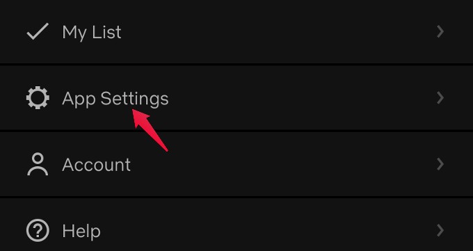 netflix app settings