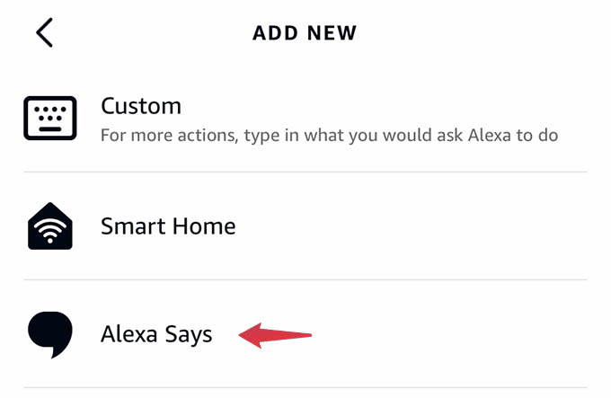 Alexa Says Action in Alexa Routines