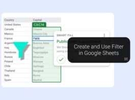Create and Use Filter in Google Sheets