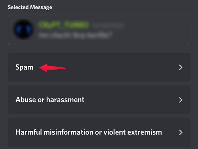 Report Spam Messages in Discord
