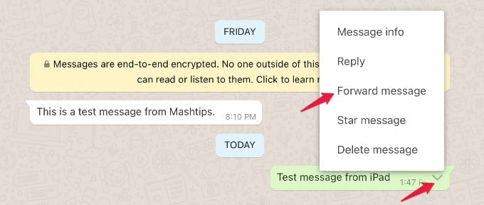 message options in whatsapp on ipad