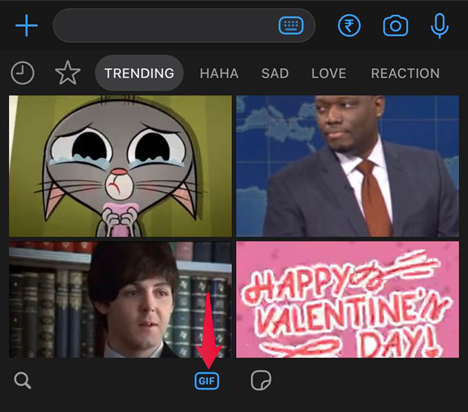 gif keyboard on iphone pops up before normal keyboard