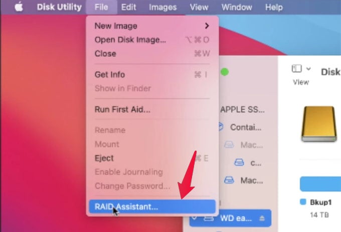 Select RAID Assistant on Mac