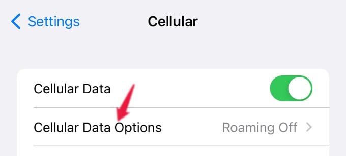 How to Turn On or Off 5G on iPhone  Know If Your iPhone Has 5G - 15