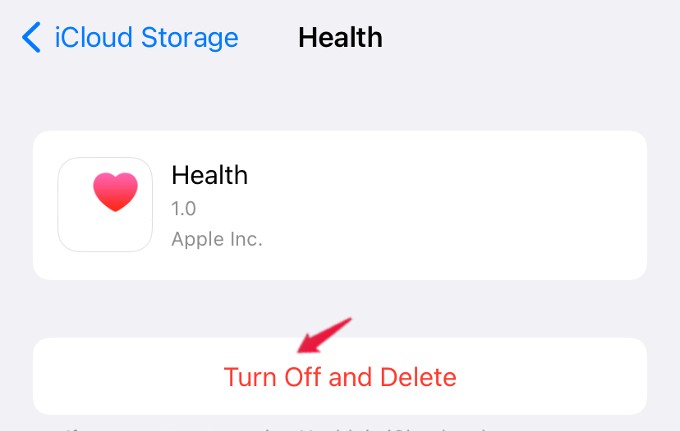 iCloud Storage Full  See How to Survive with 5GB iCloud Storage on iPhone Without Paying - 8