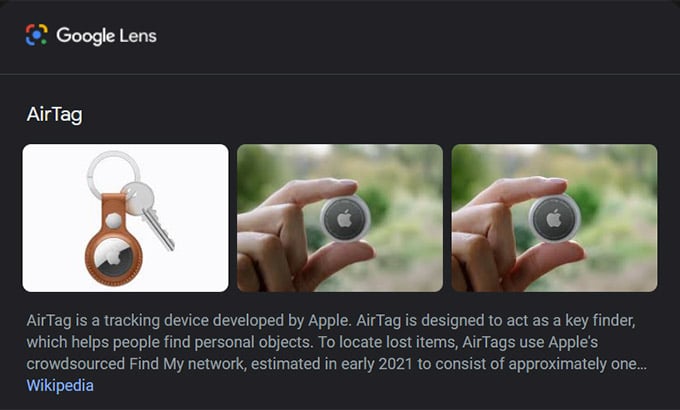 Google Lens Search Result on Google Image Search
