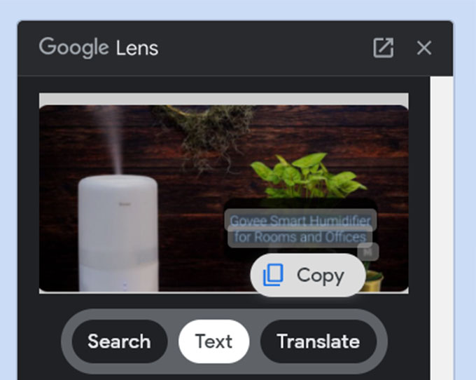 Select and Copy Text from Images on Google Lens from PC