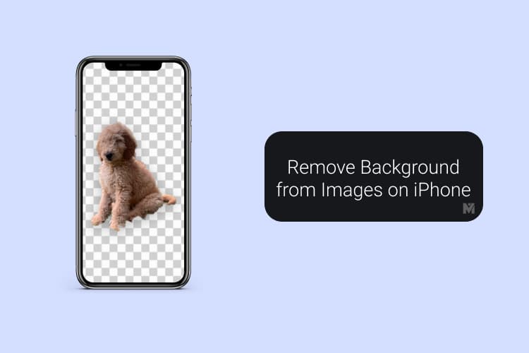 You Can Now Easily Remove Background from an Image on iPhone Without Any  Apps - MashTips