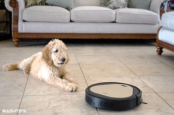 Trifo Ollie AI Robot Vacuum  Built for Pet Owners with Pet Camera Monitor - 9