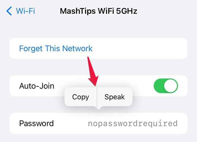 View Copy or Speak Saved WiFi Password on iPhone